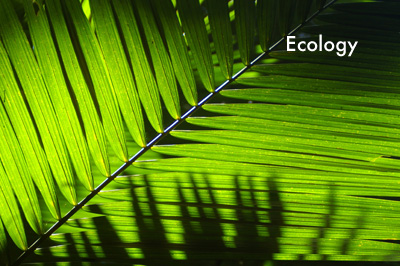 Ecology Green